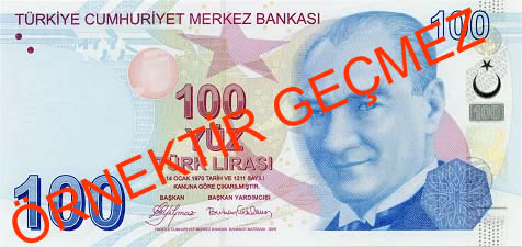 100 Türk Lirası