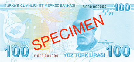 100 Turkish Lira Back Face