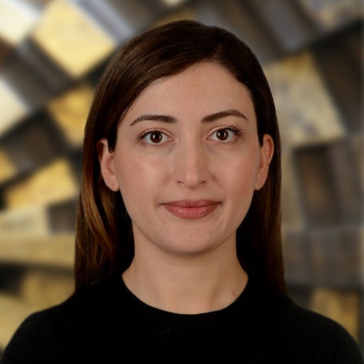 Merve Çapan